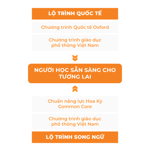 Tổng quan