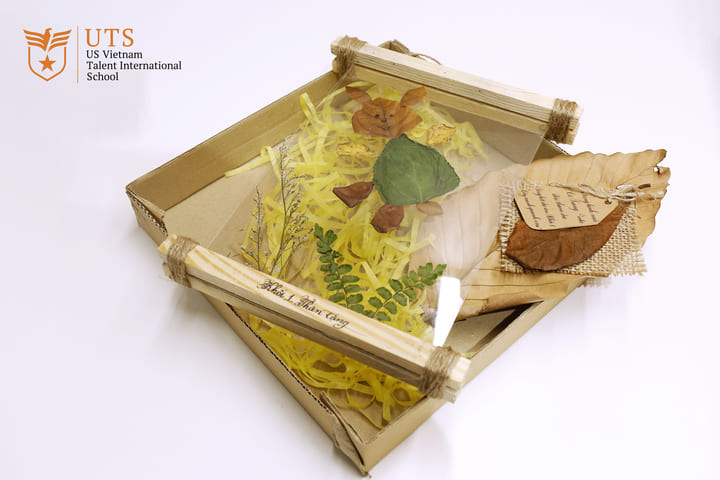 Cross-curricular project “green trees around us”: For a better world!